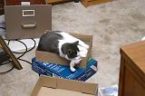 20031229_Kitty Kat_028